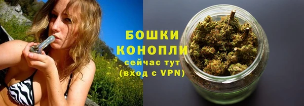 гидра Заводоуковск