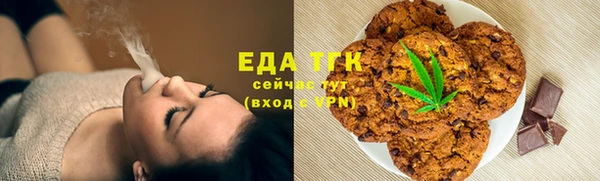 гидра Заводоуковск