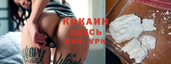 гидра Заводоуковск