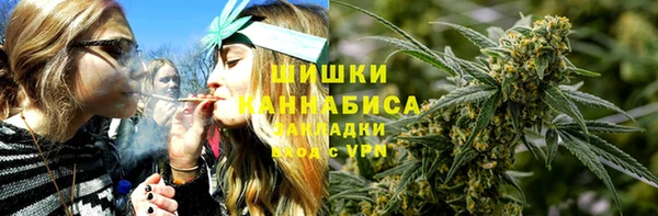 гидра Заводоуковск