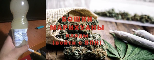 гидра Заводоуковск